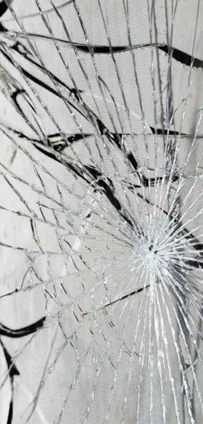 Cracked glass with light gray background creates abstract art effect.