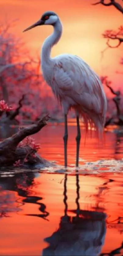 Crane standing by a glowing sunset lake.