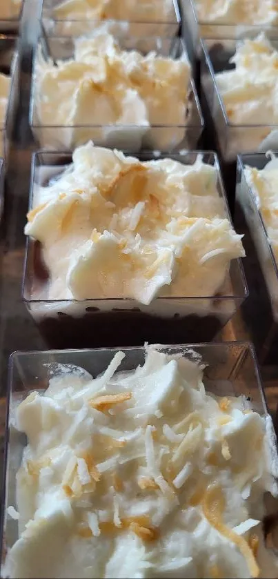 Creamy dessert cups topped with coconut flakes.