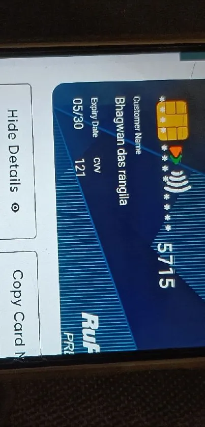 Smartphone displaying a credit card screen.