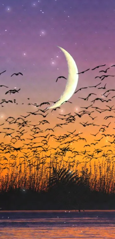 Crescent moon and birds at sunset over water.