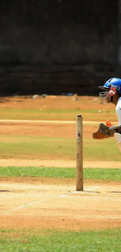 Cricket players in action on a field, capturing the essence of the game.