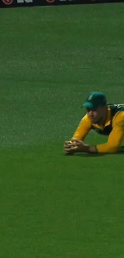 Cricket player making a diving catch on a green field.