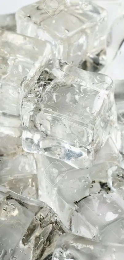 A stack of clear ice cubes on a white background.