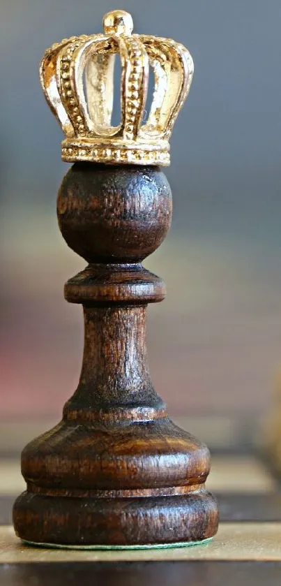 Chess pawn with crown on a chessboard, symbolizing strategy and leadership.