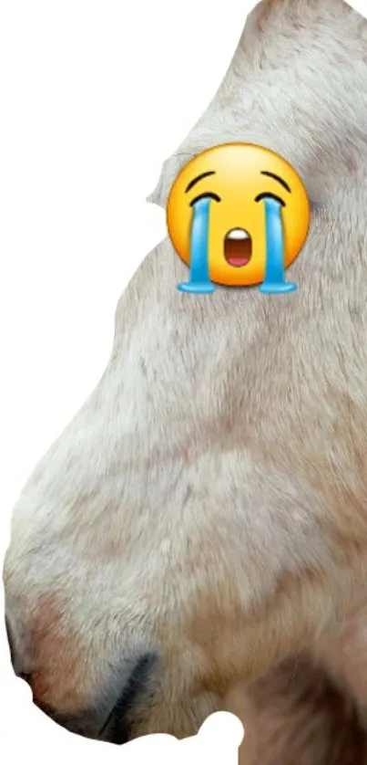 Goat with crying emoji on white background.