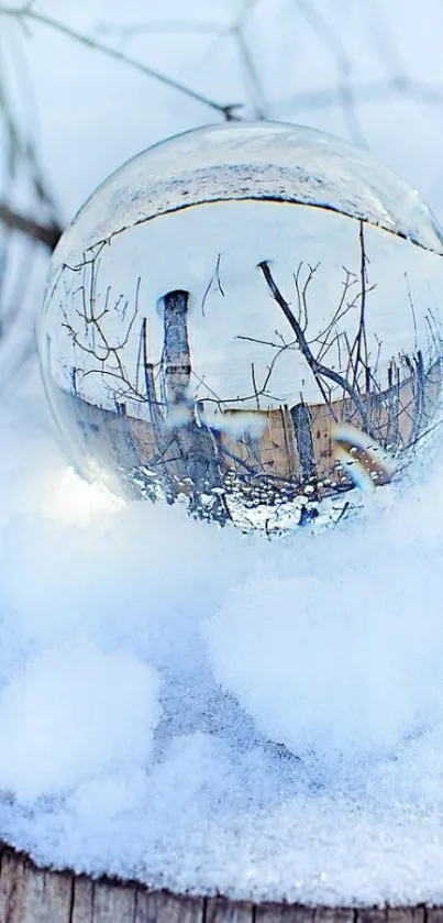 Crystal ball reflecting winter forest, surrounded by snow.