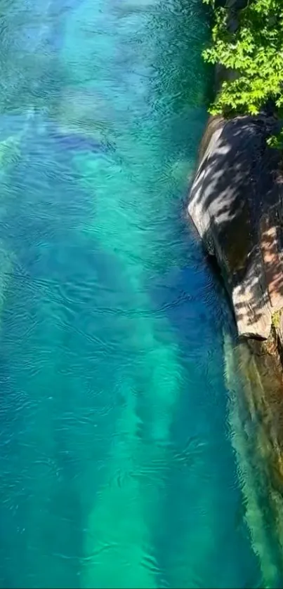 Crystal blue river with lush greenery border