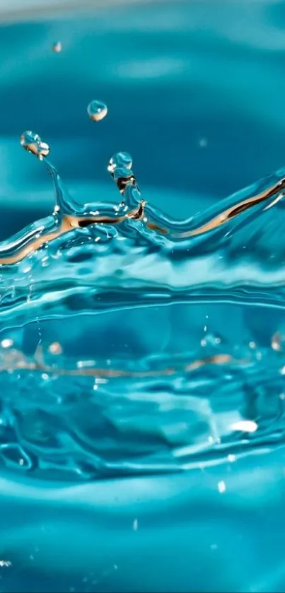 Dynamic splash of turquoise blue water creating a stunning visual effect.