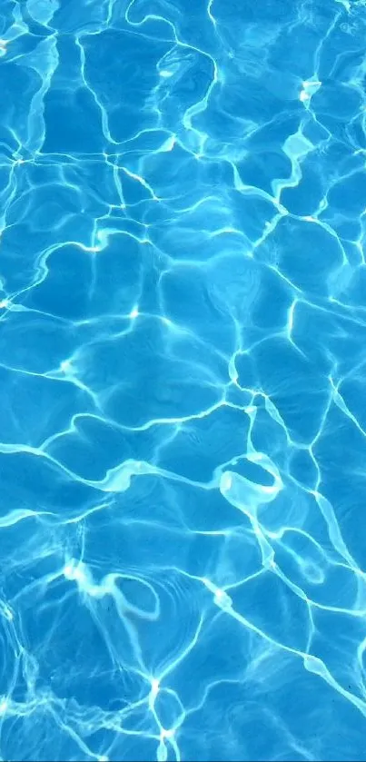 Sky blue water surface with ripples and reflections.