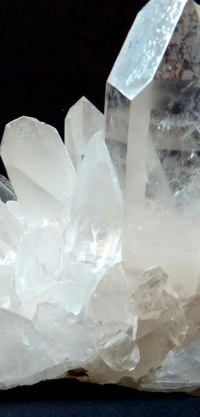 Clear quartz crystals forming a beautiful pattern against a dark background.