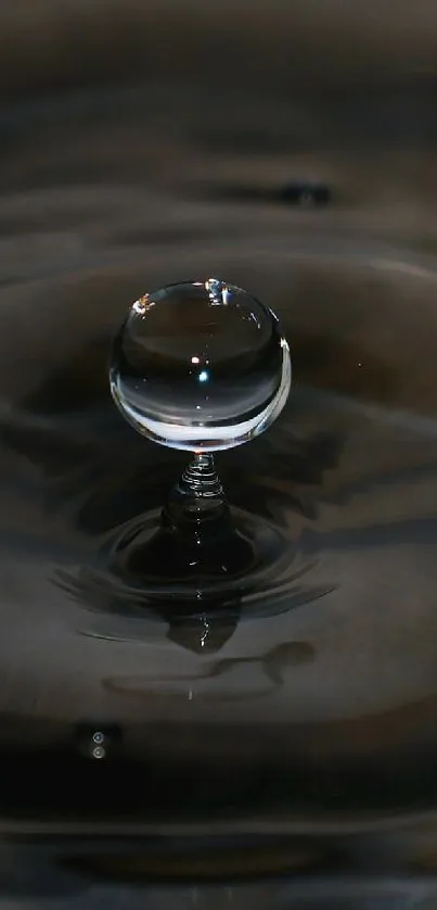 Close-up of water droplet on dark surface, showcasing clarity and motion.