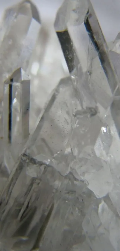 Close-up of elegant clear crystal structures with reflective surfaces.