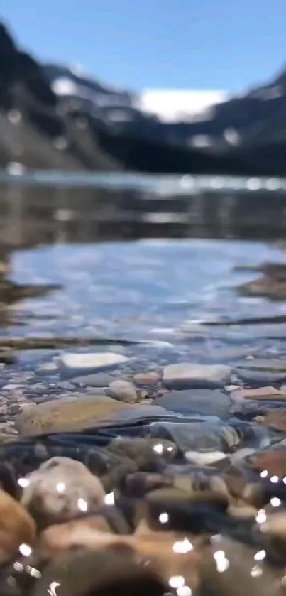 Serene mountain stream with clear water and pebbles under a bright blue sky.