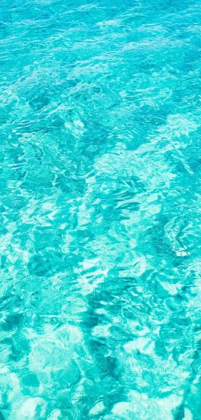 Crystal clear turquoise ocean water mobile wallpaper.