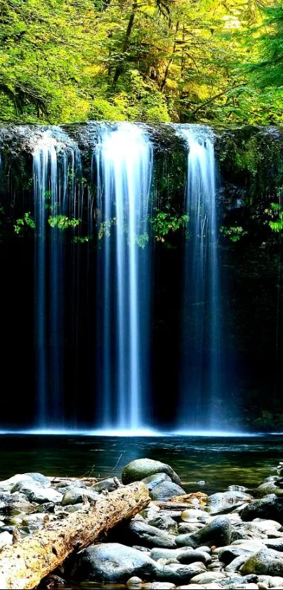 Waterfall with lush greenery and clear streams, offering a peaceful natural escape.