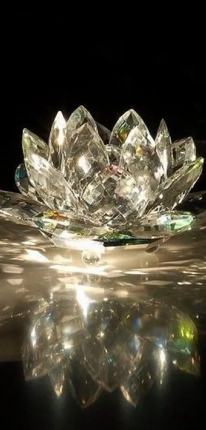 Crystal lotus flower with radiant reflections on a dark background.