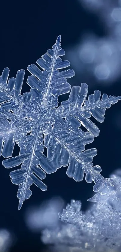 Close-up of a crystal snowflake on a dark blue background.