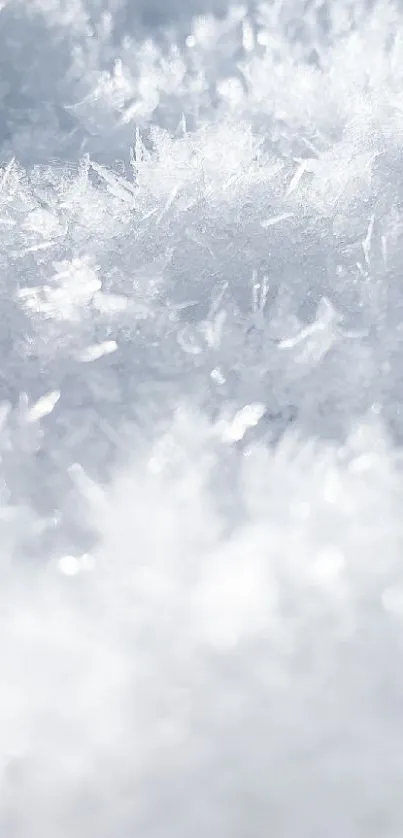 Close-up of crystalline snowflakes in a winter scene.