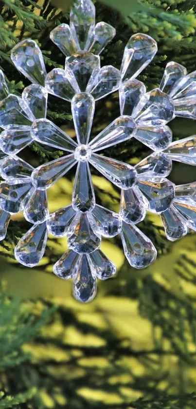 Crystal snowflake on green pine branches wallpaper.