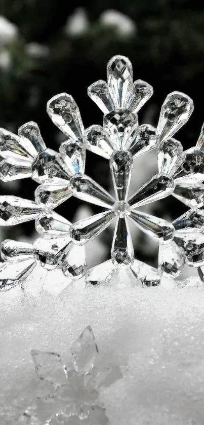 Crystal snowflake on white snow in winter setting.