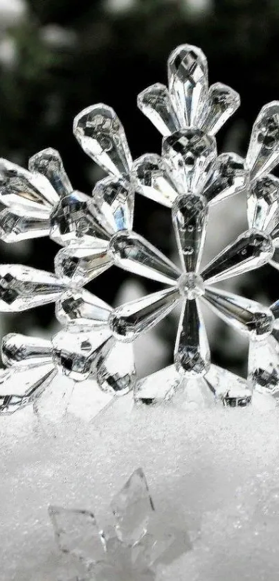 Crystal snowflake resting on soft snow in a wintry scene.