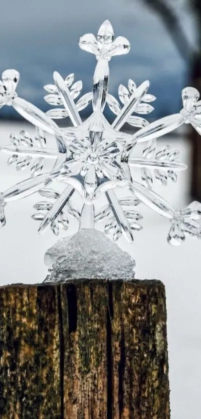 Crystal clear snowflake on a rustic wooden post with snowy background.