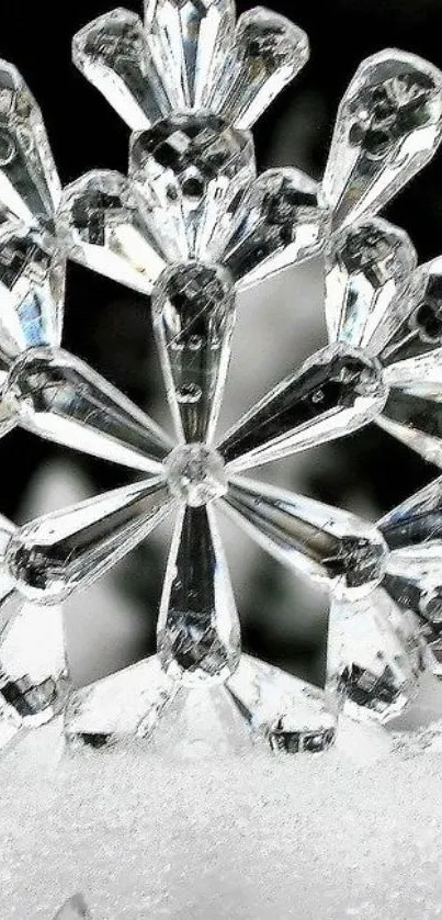 Close-up of a clear crystal snowflake against a white frosty background.