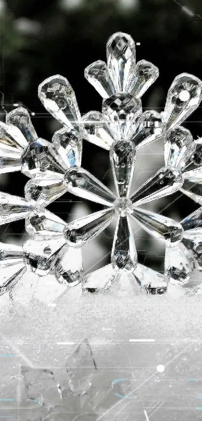 Crystal snowflakes in winter scene with snowy background.