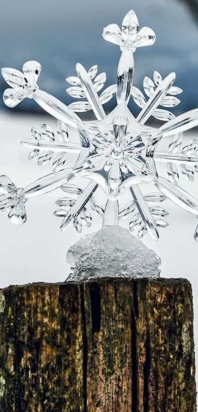 Clear crystal snowflake on rustic wood post with winter background.