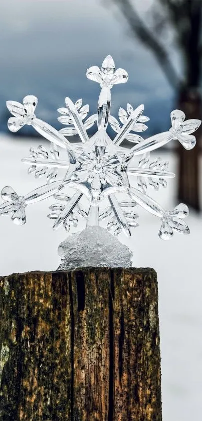 Crystal snowflake on wooden post with snowy background.