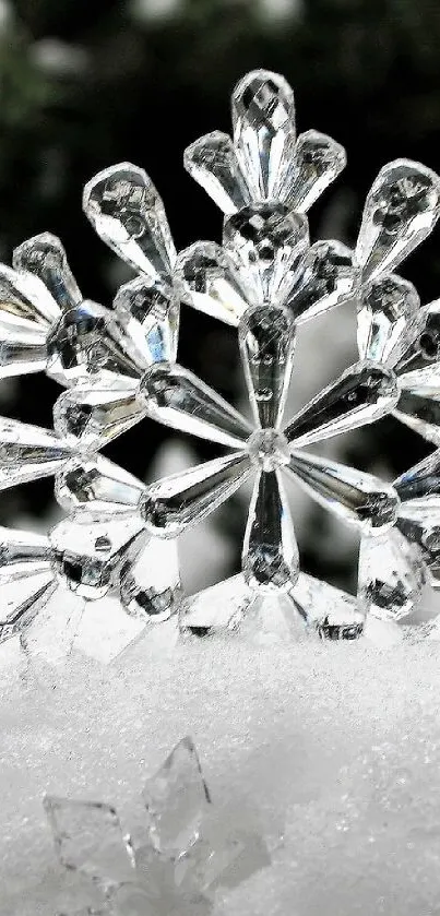 Intricate crystal snowflakes on a white snowy background.