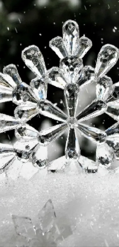 Intricate crystal snowflakes on snowy background.