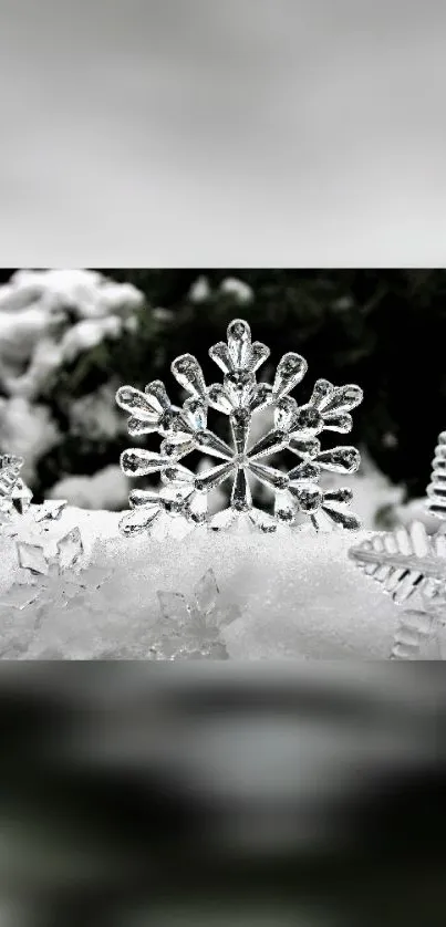 Crystal snowflakes on snowy winter background.