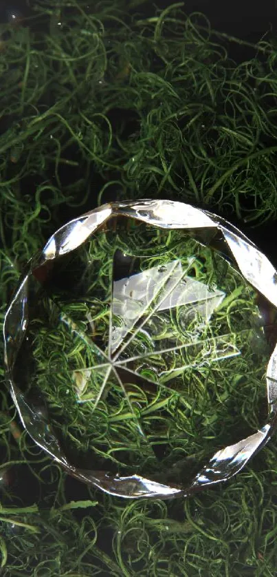 Crystal sphere resting on dark green moss with intricate details.