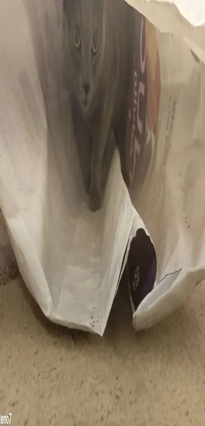 Cat hiding in a paper bag on the floor, with curious eyes peeking out.