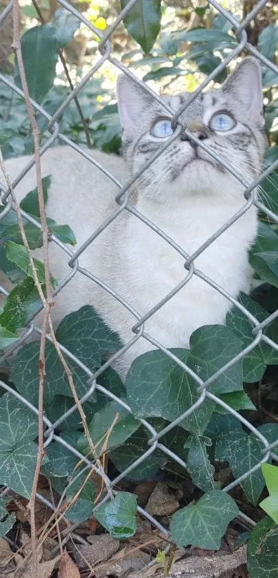 Curious blue-eyed cat sitting amid green foliage.