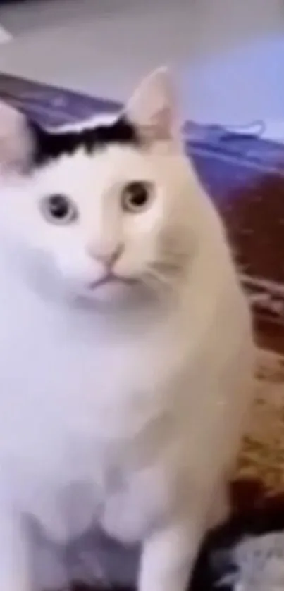 Curious white cat with dark spot on head, sitting on a patterned rug.