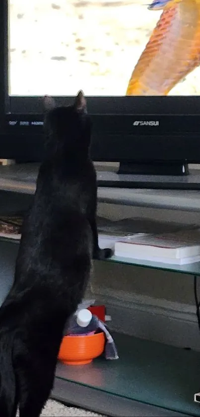 Black cat standing by TV watching a snake.