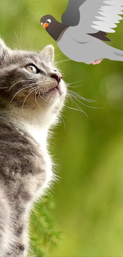 Kitten gazing at a flying bird against a green background.