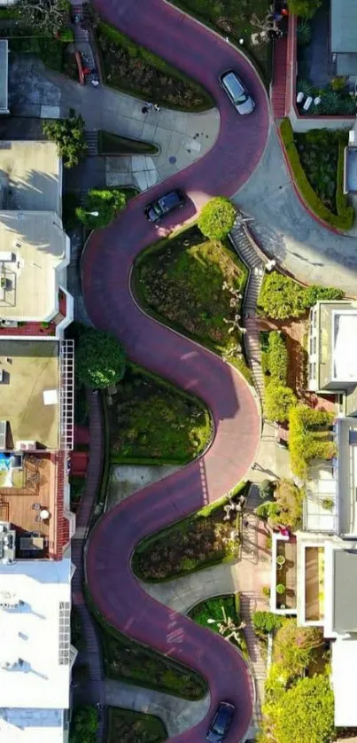 Aerial view of a famous curvy road lined with greenery in an urban setting.