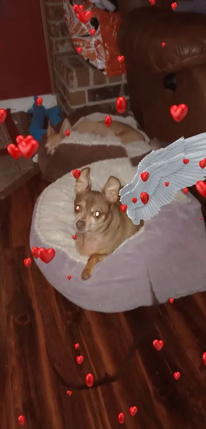 Angel-winged dog surrounded by red hearts.