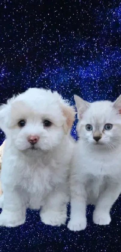 Puppy and kitten with angelic wings, in a starry sky.