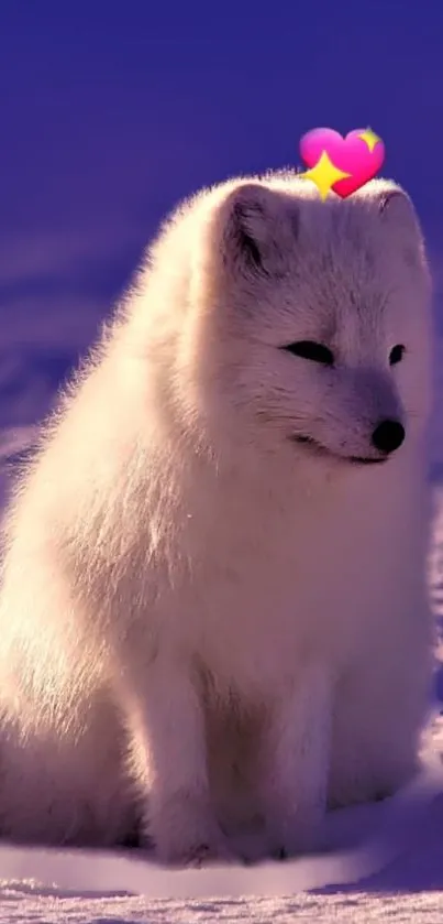 Adorable arctic fox with heart graphic on purple snowy background.