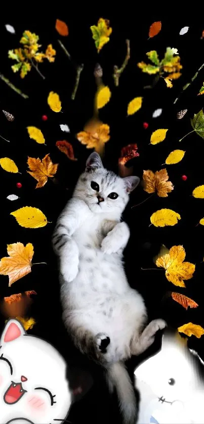 Cute cat surrounded by colorful leaves on a black background wallpaper.