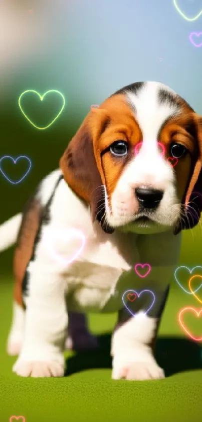 Adorable Beagle puppy on a grassy field with a blurred background.