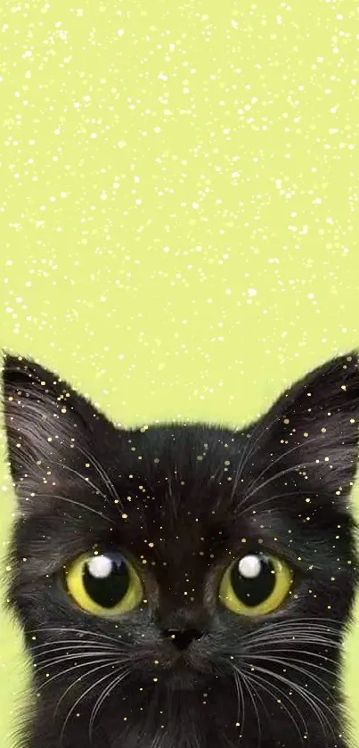 Cute black cat with yellow eyes on lime green background.