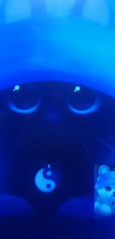 Cute blue cat with yin-yang charm glowing in the dark.