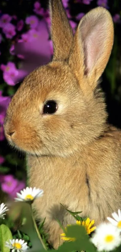 Cute brown bunny in a field of daisies and purple flowers.