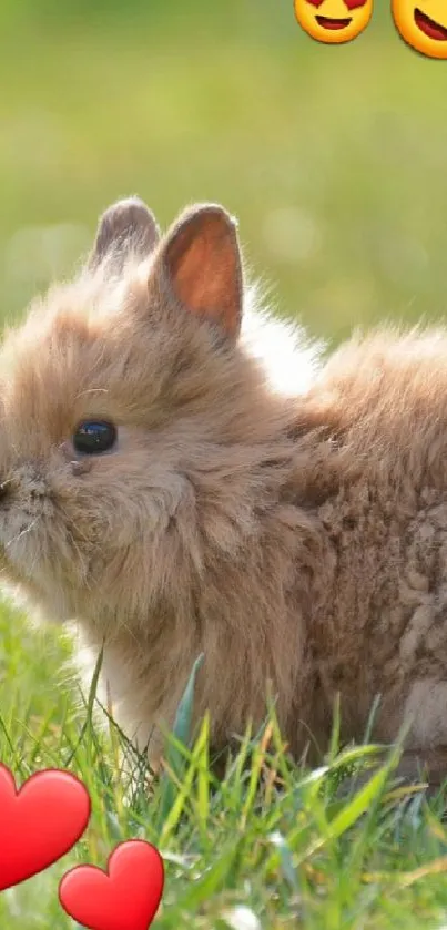 Fluffy bunny with Easter eggs on grass.